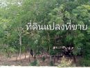 ขายที่ดิน - ขายที่ดินระยอง ติดถนนนิคม สาย 9 ต.มาบข่า อ.นิคมพัฒนา ระยอง ตรงข้าม บจ.โปร ซัพพลาย หน้ากว้าง 98 ม. ลึก 477 ม.เนื้อที่รวม 31-2-52.3 ไร่ ราคา 75.914 ลบ.*