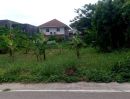 ขายที่ดิน - ขายที่ดินตำบลสันกลางสันกำแพงหลังบ้านมอญเรือนแพ 1 พร้อมโอน