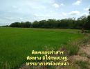 ขายที่ดิน - ที่ดินริมน้ำ ติดคลองท่าสารสายหลัก ได้ที่ฟรีอีกจำนวนหนึ่ง ที่สูงน้ำไม่ท่วม 8ไร่