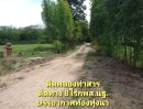 ขายที่ดิน - ที่ดินริมน้ำ ติดคลองท่าสารสายหลัก ได้ที่ฟรีอีกจำนวนหนึ่ง ที่สูงน้ำไม่ท่วม 8ไร่