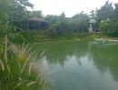 ขายที่ดิน - ขายด่วน! ที่ดินสวนเกษตรผสมผสานสไตล์รีสอร์ท อ.พัฒนานิคม จ.ลพบุรี พร้อมบ้านและสิ่งปลูกสร้างครบครัน