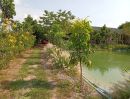 ขายที่ดิน - ขายด่วน! ที่ดินสวนเกษตรผสมผสานสไตล์รีสอร์ท อ.พัฒนานิคม จ.ลพบุรี พร้อมบ้านและสิ่งปลูกสร้างครบครัน
