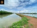 ขายที่ดิน - ขายที่ดิน บ่อเลี้ยงปลา อ.บางน้ำเปรี้ยว 117 ไร่