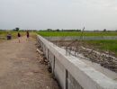 ขายที่ดิน - ขายที่ดินถมแล้ว 100 ตร.ว. พร้อมกำแพงล้อมรอบ คลอง 4 คลองหลวง ปทุมธานี ที่ดินสวย ขนาดกำลังดี พร้อมพัฒนา!!