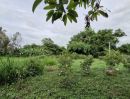 ขายที่ดิน - ขายด่วน! ที่ดินทำเลทอง ใกล้มหาวิทยาลัยมหาสารคาม 2 งาน 80 ตร.ว. ราคาสุดคุ้ม เหมาะสำหรับลงทุน สร้างบ้าน หรือเก็งกำไร!