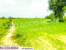 ขายที่ดิน - ที่ดินหนองหญ้าไซ 12 ไร่ 204 ตร.ว. สุพรรณบุรี ใกล้โรงเรียนบ้านหนองสำโรง