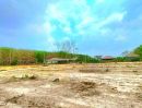 ขายที่ดิน - ขายที่ดิน พื้นที่ 1 ไร่ อ.นิคมพัฒนา จ.ระยอง ซอย3 สาย 13 อยู่ฝั่งสาย 15