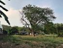 ขายที่ดิน - ขายที่ดินตำบลสุเทพใกล้วัดร่ำเปิงสุเทพวิวดอยสุเทพพร้อมโอน