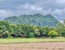ขายที่ดิน - ขายที่ดินบ้านหนองบัวค่าย 100 ตรว. วิวเขา ต.รางบัว จอมบึง ราชบุรี