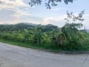 ขายที่ดิน - ขายที่ดินตำบลสุเทพติดถนนสองด้านห่างถนนหลักเพียง 100เมตรพร้อม