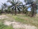 ขายที่ดิน - ขายที่ดินหัวหิน 2 ไร่ อยู่ในเอเรียที่ดี เหมาะสำหรับสร้างวิลล่าส่วนตัว