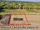 ขายที่ดิน - ขายที่ดิน คลอง 9 เนื้อที่ 150 ตรว. หนองเสือ ปทุมธานี