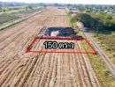 ขายที่ดิน - ขายที่ดิน คลอง 9 เนื้อที่ 150 ตรว. หนองเสือ ปทุมธานี