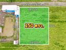 ขายที่ดิน - ขายที่ดิน คลอง 9 เนื้อที่ 150 ตรว. หนองเสือ ปทุมธานี