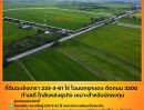 ขายที่ดิน - ขายที่ดินฉะเชิงเทรา เนื้อที่ 233-3-61 ไร่ โฉนดครุฑแดง ติดถนน 3200 ฉะเชิงเทรา-บางน้ำเปรี้ยว ทำเลดี ใกล้แหล่งธุรกิจ ขายถูกมาก เหมาะสำหรับนักลงทุน