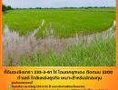 ขายที่ดิน - ขายที่ดินฉะเชิงเทรา เนื้อที่ 233-3-61 ไร่ โฉนดครุฑแดง ติดถนน 3200 ฉะเชิงเทรา-บางน้ำเปรี้ยว ทำเลดี ใกล้แหล่งธุรกิจ ขายถูกมาก เหมาะสำหรับนักลงทุน