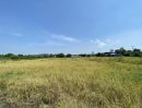 ขายที่ดิน - ขายที่ดินโคกกรุง แก่งคอยบ้านนา (ชุมชนชำผักแพว) อ.แก่งคอย จ.สระบุรี