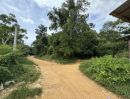 ขายที่ดิน - ขายที่ดินสวนยางในตันหยงมัส เจ้าของขายที่เอง