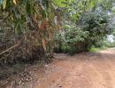 ขายที่ดิน - ขายที่ดินสวนยางในตันหยงมัส เจ้าของขายที่เอง