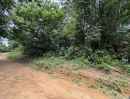ขายที่ดิน - ขายที่ดินสวนยางในตันหยงมัส เจ้าของขายที่เอง