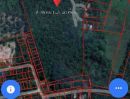 ขายที่ดิน - ขายที่ดินสวนยางในตันหยงมัส เจ้าของขายที่เอง