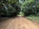 ขายที่ดิน - ขายที่ดินสวนยางในตันหยงมัส เจ้าของขายที่เอง
