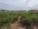 ขายที่ดิน - ที่ดินเปล่า 2-3-82 ไร่ เหมาะกับการทำบ้านพักอาศัย อยู่ในพื้นที่ที่มีโครงการก่อสร้างที่พักอาศัยกำลังพัฒนาอย่างรวดเร็ว!