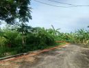 ขายที่ดิน - ขายที่ดิน ลำลูกกา คลอง 9 หมู่บ้านสวนเก้าพัฒนา เนื้อที่ 70.2 ตร.ว. ถมแล้ว