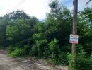 ขายที่ดิน - ขายที่ดิน ลำลูกกา คลอง 9 หมู่บ้านสวนเก้าพัฒนา เนื้อที่ 70.2 ตร.ว. ถมแล้ว