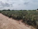 ขายที่ดิน - ขายที่ดิน 4 ไร่ ที่ดินจัดสรรเพื่อพัฒนาที่อยู่อาศัย ในย่านที่กำลังพัฒนาอย่างรวดเร็ว!