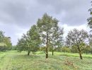 ขายที่ดิน - ขายสวนผสม สวนทุเรียน สวนยาง อำเภอมะขาม จันทบุรี