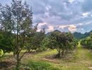 ขายที่ดิน - ขายที่สวนผลไม้คลองม่วง ปากช่อง นครราชสีมา ที่สวนมะม่วง ทุเรียน 29 ไร่ ขายถูกไร่ละ 1.7ล้าน วิวเขาสวยมาก ใกล้ภูเขา วัดถ้ำสันติธรรม เก็บผลผลิตตัดขายทุกปี