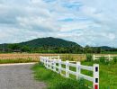 ขายที่ดิน - ขายที่ดินเงินผ่อน เนื้อที่ 100 - 200 ตารางวา วิวเขาสวย หนองตากยา ท่าม่วง กาญจนบุรี