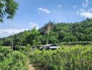 ขายที่ดิน - ขายที่สวนเชียงดาวติดน้ำใกล้น้ำพุร้อนโป่งอ่าง 700 เมตร