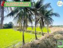 ขายที่ดิน - ที่ดินทำสวนเกษตร ต้องแปลงนี้ ติดบึงน้ำ วิวส์สวย มากๆ ราคาถูก
