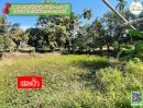 ขายที่ดิน - ที่ดินทำสวนเกษตร ต้องแปลงนี้ ติดบึงน้ำ วิวส์สวย มากๆ ราคาถูก