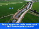 ขายที่ดิน - ที่ดิน ที่นา บางไทร อยุธยา! สวย ราคาพิเศษ ขนาด 30 ไร่ โฉนดครุฑแดง ติดถนนคอนกรีต ขายถูกที่สุดในย่านนี้