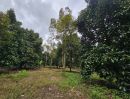 ขายที่ดิน - ขายที่ดินสวนผสม สวนผลไม้ อำเภอท่าใหม่ จันทบุรี