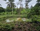 ขายที่ดิน - ขายที่ดินสวนผสม สวนผลไม้ อำเภอท่าใหม่ จันทบุรี
