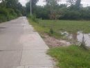 ขายที่ดิน - ขายที่ดินหนองขยาด 2 ไร่ ติดถนนคอนกรีต ใกล้อบต.หนองบอนแดง-4กม. อ.พนัสนิคม ชลบุรี