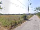 ขายที่ดิน - ขายที่ดินหนองขยาด 2 ไร่ ติดถนนคอนกรีต ใกล้อบต.หนองบอนแดง-4กม. อ.พนัสนิคม ชลบุรี