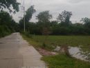 ขายที่ดิน - ขายที่ดินหนองขยาด 2 ไร่ ติดถนนคอนกรีต ใกล้อบต.หนองบอนแดง-4กม. อ.พนัสนิคม ชลบุรี