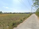 ขายที่ดิน - ขายที่ดินหนองขยาด 2 ไร่ ติดถนนคอนกรีต ใกล้อบต.หนองบอนแดง-4กม. อ.พนัสนิคม ชลบุรี