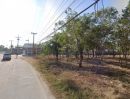 ขายที่ดิน - ขายที่ดินนามะตูม บ้านช้าง 1 ไร่ ซอยห้วยสูบ-หนองจอกติดถนน2ด้าน ใกล้แยกตลาดพนัสนิคม-3กม. อ.พนัสนิคม ชลบุรี