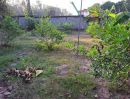 ขายที่ดิน - ขายที่ดินเปล่า ทำเลทอง บนถนนสำนักอ้ายงอน อ.นิคมพัฒนา จ.ระยอง