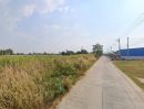 ขายที่ดิน - ขายที่ดินหนองหงษ์ 4 ไร่ ติดถนนบ้านไร่-หนองกาน้ำ ใกล้ถนน3023-500เมตร อ.พานทอง ชลบุรี