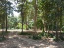 ขายที่ดิน - ขายที่ดินโฉนด สวนป่าธรรมชาติ ไม้ใหญ่ ร่มรื่น มีสระน้ำ และห้องเก็บของ