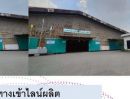 ให้เช่าโรงงาน / โกดัง - ให้เช่าโรงงานให้เช่าโกดัง-อยู่ตำบลบางน้ำจืด อำเภอเมือง จังหวัดสมุทรสาคร เนื้อที่ทั้งหมด16 ไร่