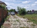ขายที่ดิน - ขายที่ดิน 2 ไร่ 237 ตรว. ถมแล้วสูงกว่าถนน 1 ม. มีกำแพงปูนกันดิน 4 ด้าน