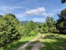 ขายที่ดิน - ขายด่วน สวนทุเรียน พร้อมบ้าน1หลัง โซนห้วยสะท้อน อ.ท่าใหม่ จ.จันทบุรี